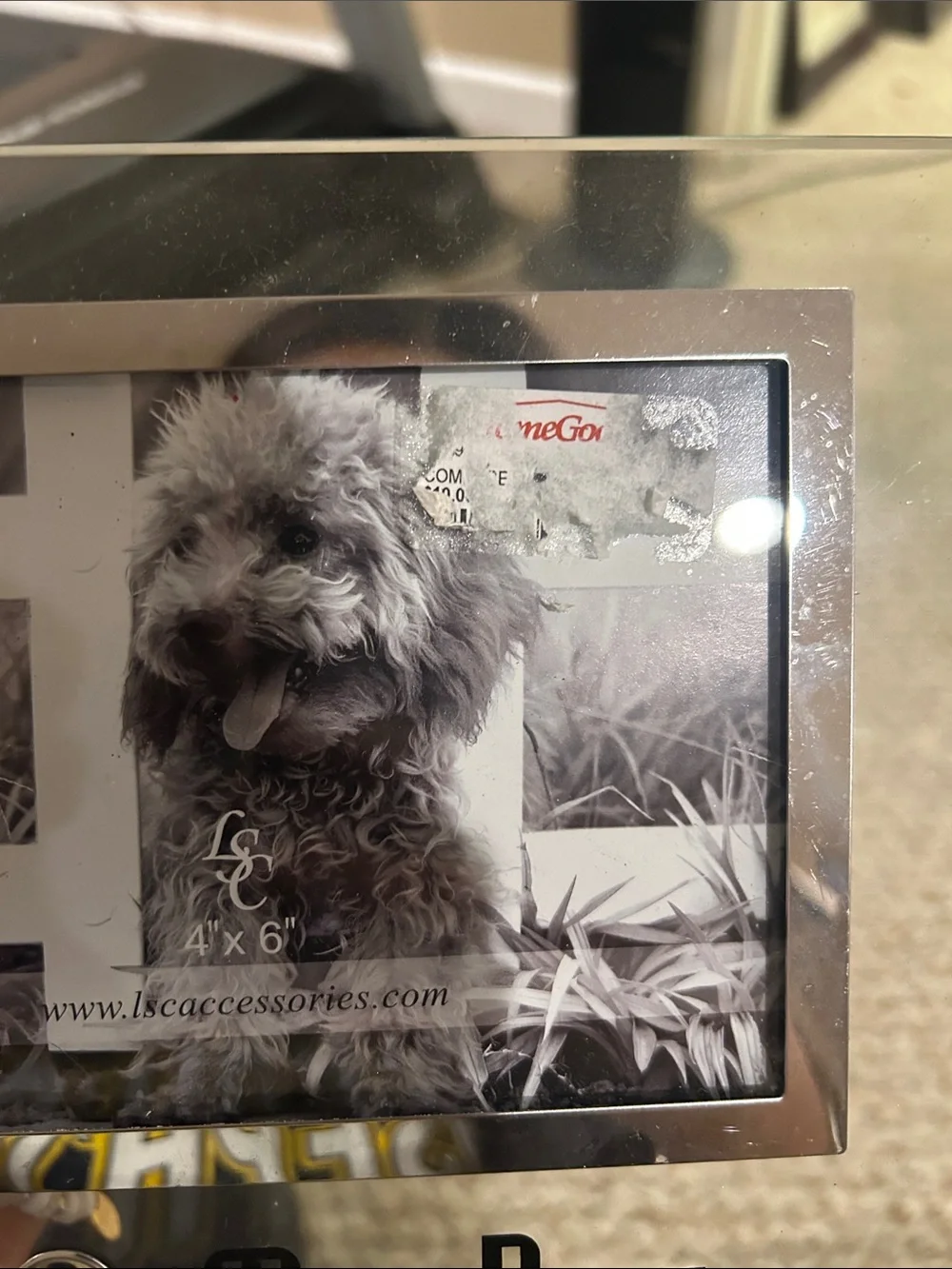 Clear Glass 'I ♥ My Dog' Photo Frame - Silver Accent